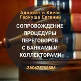 Услуги адвоката по кредитным долгам и микрозаймам Киев