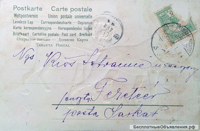 Редкая открытка "Пара, гончих"1908 год