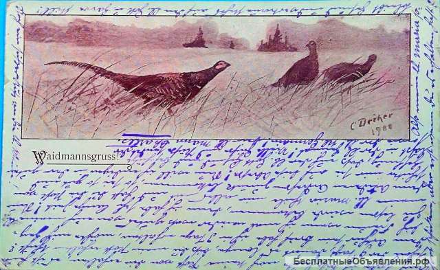 Редкая открытка "Фазаны в поле" 1918 год