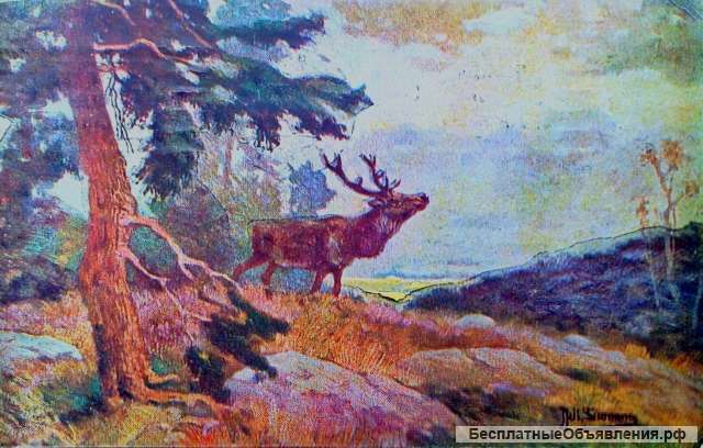 Редкая открытка "Ревун зовет подругу" 1924 год