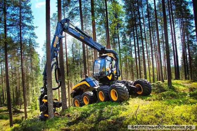 Услуги лесозаготовки. Заготовка леса.