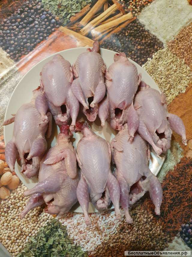 Перепелиное мясо