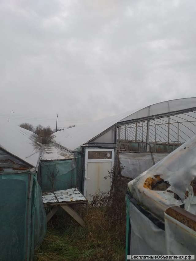 Ищу инвестора в сельское хозяйство