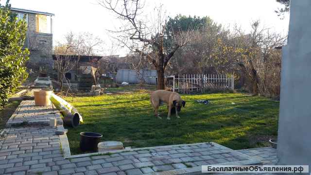 Дом жилой 105 м.кв., с ремонтом