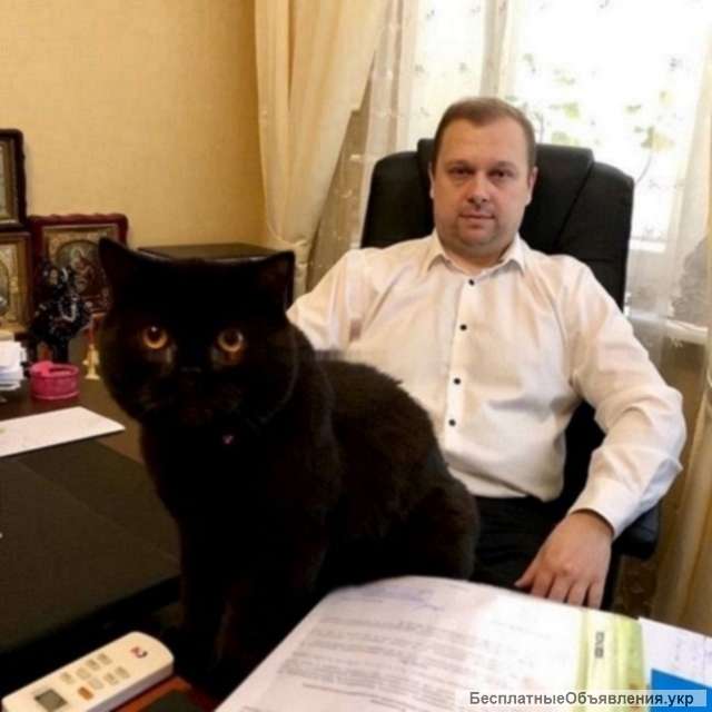 Адвокат по семейным делам в Киеве
