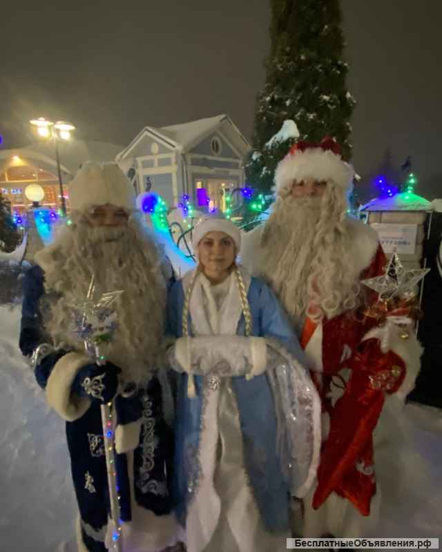 Подарите детям сказку Пригласите дед мороза и снегурочку