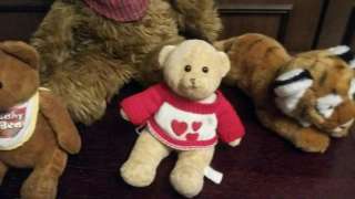 3 мишки и тигр.Мишка побольше-350 руб, мишки поменьше и тигр -300 руб.за игрушку.