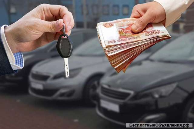 Узнайте первым о свежих объявлениях о продаже авто