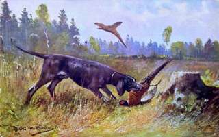 Редкая открытка "Охота на Фазана" 1919 год
