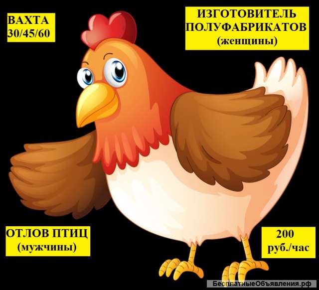 Вахта 30/45/60 Изготовитель полуфабрикатов