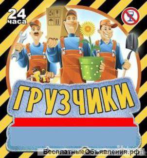 Аккуратные русские грузчики и разнорабочие