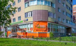 Гинекологическое узи