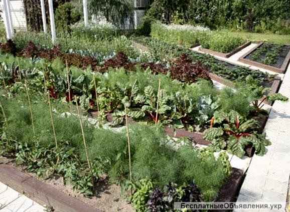 Земельный участок на Белосарайской косе-Азовское море