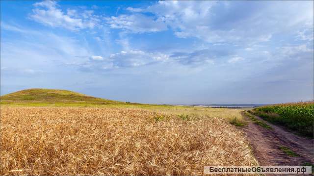 Земельный участок 800 га Апшеронский р-н
