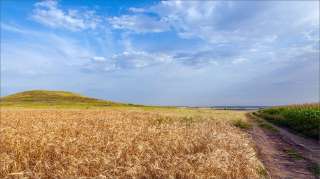 Земельный участок 800 га Апшеронский р-н