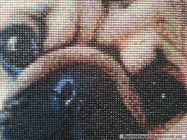 Готовая алмазная вышивка (мозаика) 35х35 см. "Мопс"