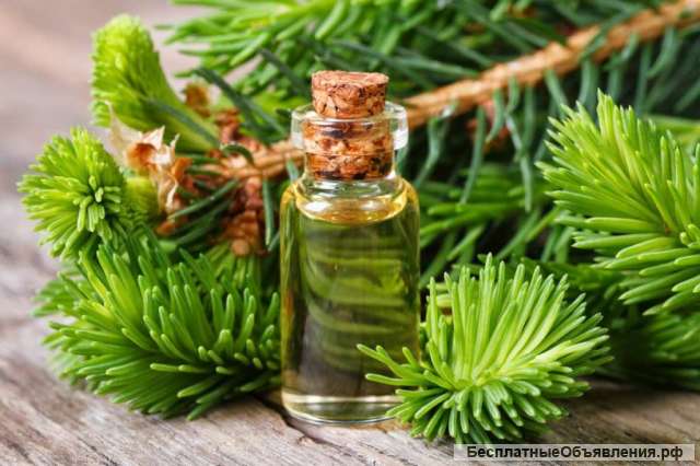 Куплю пихтовое масло 1450р за литр