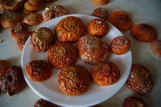 Мухомор Красный