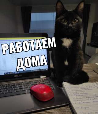 Администратор