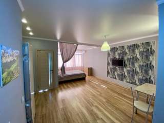 2-комнатная квартира, 47 кв.м., ЦМР