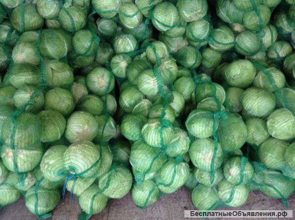 Капуста,морковь, свекла оптом