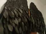 САМАРА. Предлагаю черные крылья для фотосессий, материал - изолон. Размах 1,60, высота 1,20 Для фот
