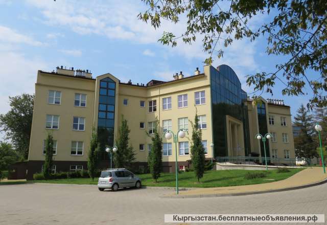 Учеба за границей. Студенческая виза на 3 года