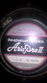 Aria AG 30AT обмен на комб для аккустики 9 - 12V