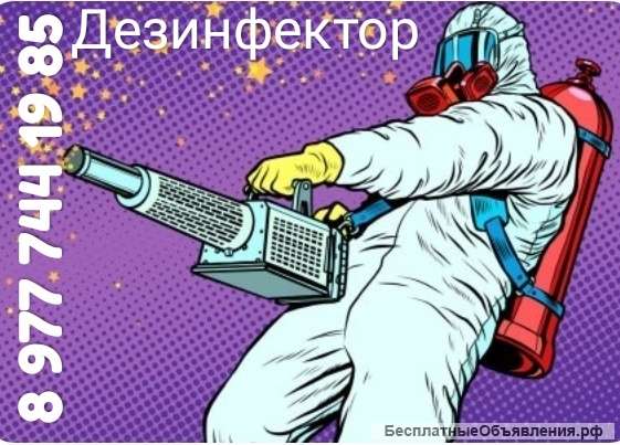 Дезинфекция от насекомых