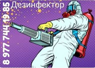 Дезинфекция от насекомых