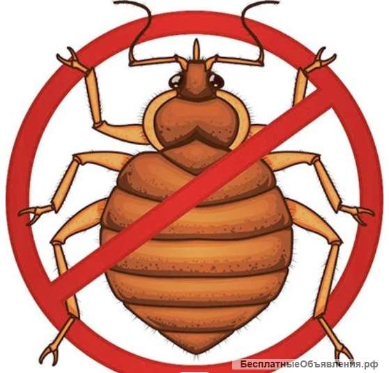 Дезинфекция насекомых, клопов, тараканов и др