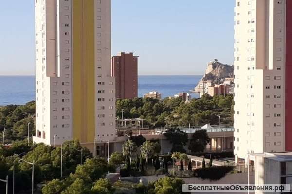 Недвижимость в Испании, Квартира в Бенидорме, Испания