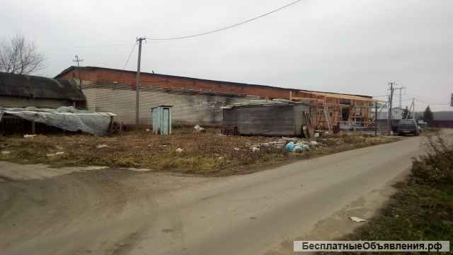 Маленькая ферма в Раменском районе МО