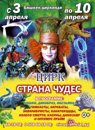 Цирк "Страна чудес" С 3 апреля по 10 апреля