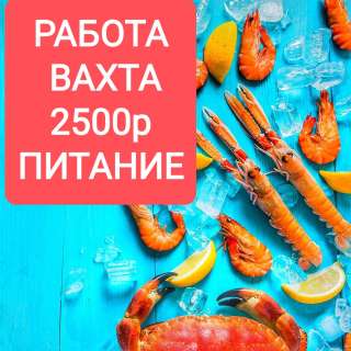 Работа вахтой 15/30/45 дней/ фасовщица (щик) морепродуктов, без опыта, бесплатное питание и жильё