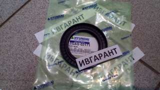 ZGAQ-02171 Cальник Хвостовика ZGAQ-02171