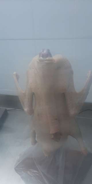 Фермерские гуси оптом