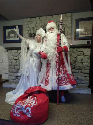 Ведущий + диджей + аппаратура + Дед Мороз