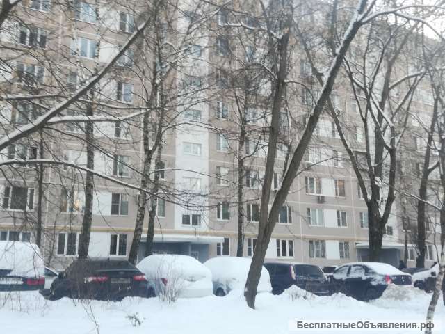 Студия индивидуальная в разы дешевле квартиры
