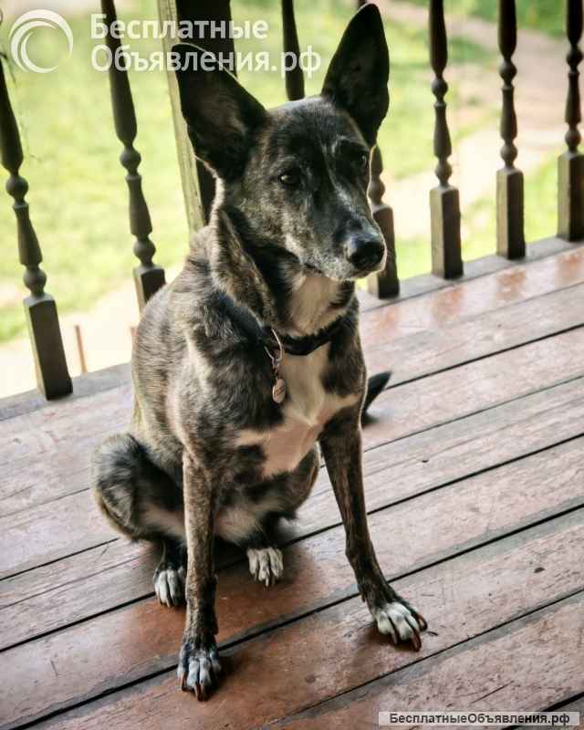 Бетси скромная и обаятельная