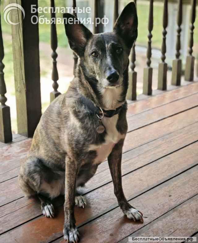 Бетси скромная и обаятельная