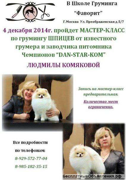 Мacтep-клacc пo гpумингу шпицeв