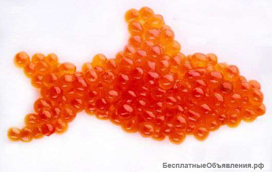 Икра красная оптом