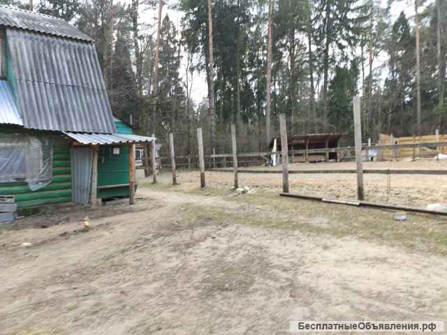 Нежилое здание, кадастровый номер 50:15:0000000:135118