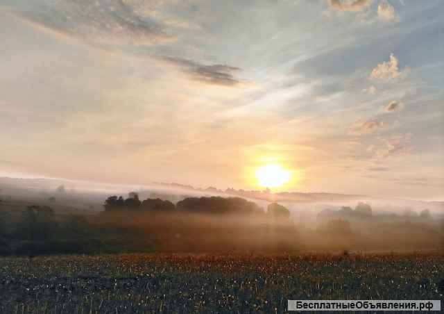Фото на документы, реставрация фото, визитки, ламинирование, печать фото и документов и т.п.
