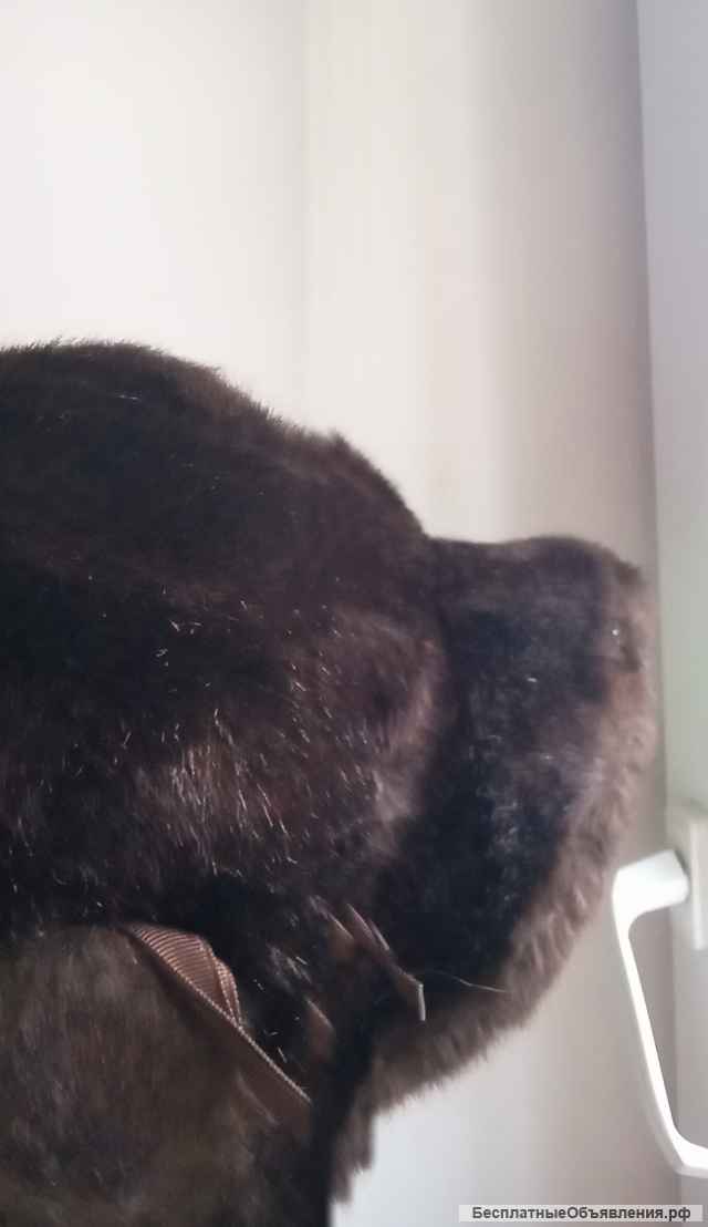 Шапки из натурального меха