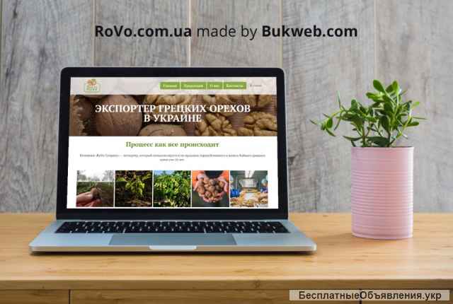 Сайт під ключ від 2950грн: візитка, Інтернет магазин, каталог