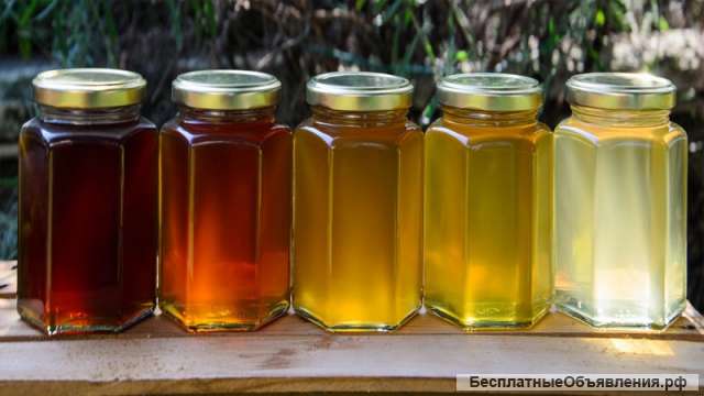 Домашнее грибоводство с нуля