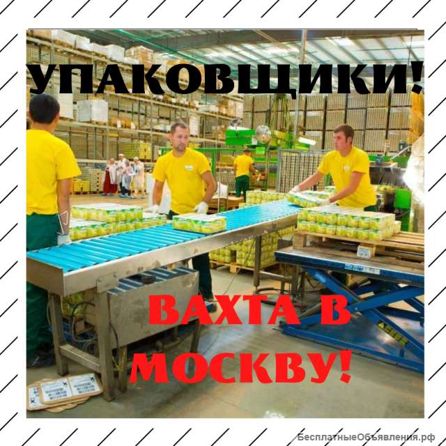 Упаковщик, вахта в Москву, 15/30/45, питание, проживание