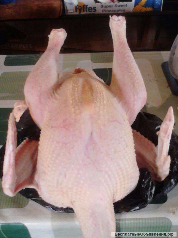 Тушки индюков оптом